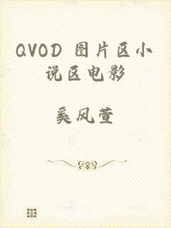 QVOD 图片区小说区电影